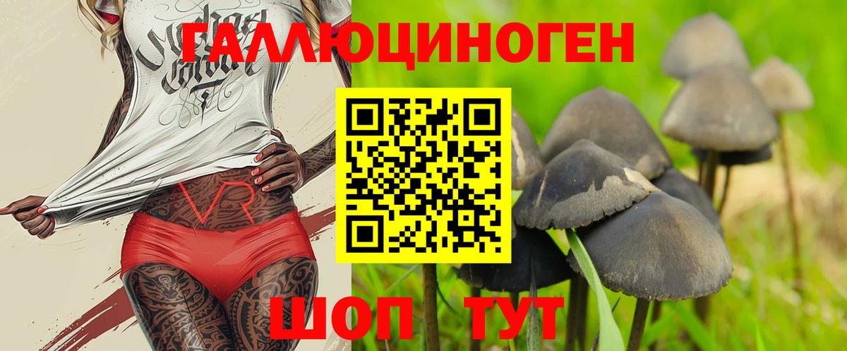 Галлюциногенные грибы Magic Shrooms Кохма